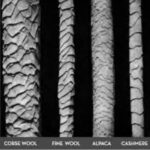 Photo microscopique de différentes fibres naturelles avec leurs écailles